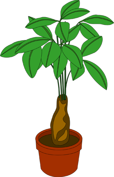 観葉植物.png