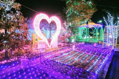 tochigi-illumination.jpg